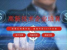 深圳高新技术企业培育资助的条件和标准